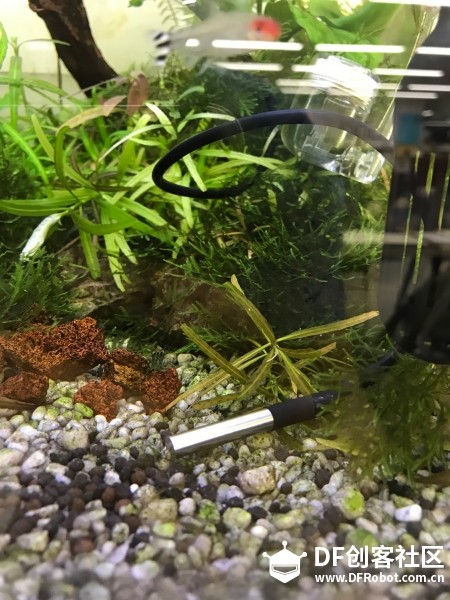 DIY ：鱼缸自动降温装置