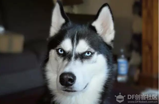 Huskylens 非专业开箱及在树莓派派上更新固件